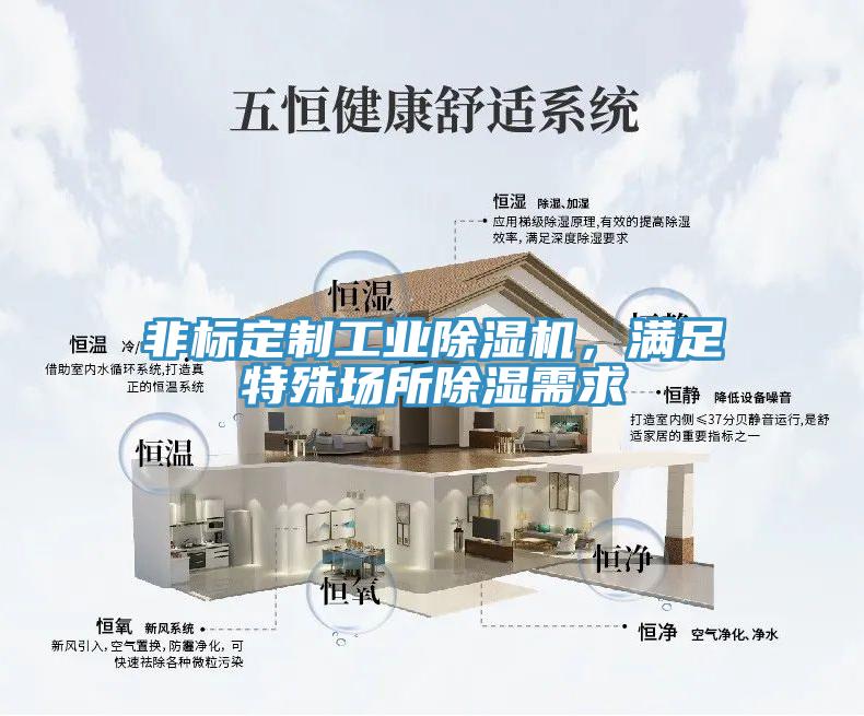 非標定制工業(yè)除濕機，滿足特殊場所除濕需求