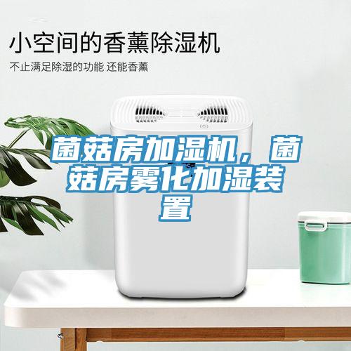 菌菇房加濕機(jī)，菌菇房霧化加濕裝置