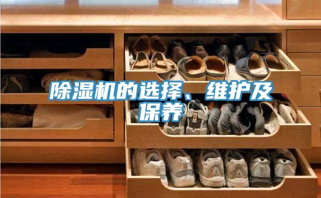 除濕機(jī)的選擇、維護(hù)及保養(yǎng)