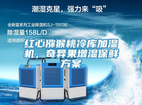 紅心獼猴桃冷庫(kù)加濕機(jī)，奇異果增濕保鮮方案