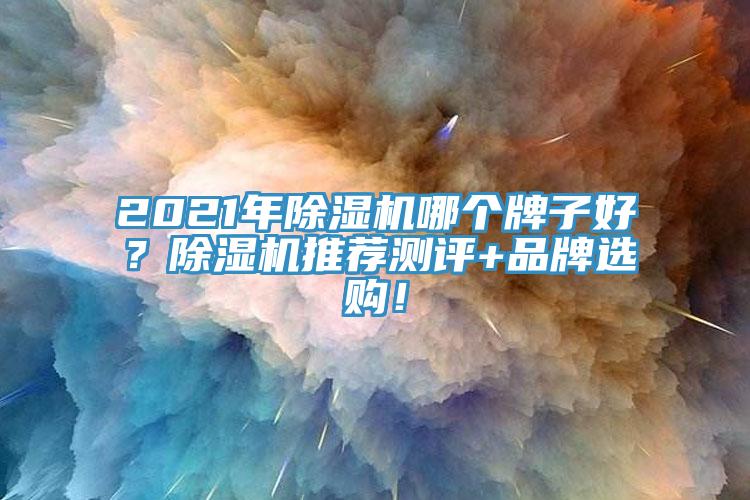 2021年除濕機(jī)哪個牌子好？除濕機(jī)推薦測評+品牌選購！