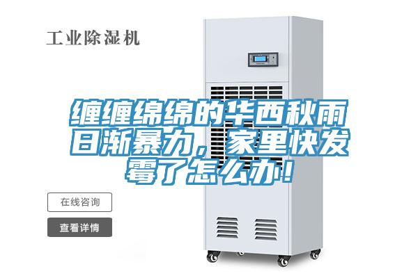 纏纏綿綿的華西秋雨日漸暴力，家里快發(fā)霉了怎么辦！