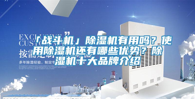 「戰(zhàn)斗機(jī)」除濕機(jī)有用嗎？使用除濕機(jī)還有哪些優(yōu)勢(shì)？除濕機(jī)十大品牌介紹