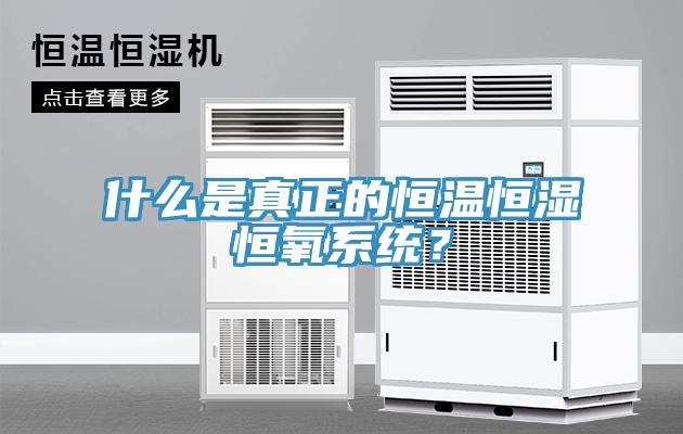 什么是真正的恒溫恒濕恒氧系統(tǒng)？