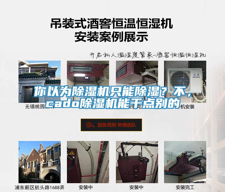 你以為除濕機只能除濕？不，cado除濕機能干點別的