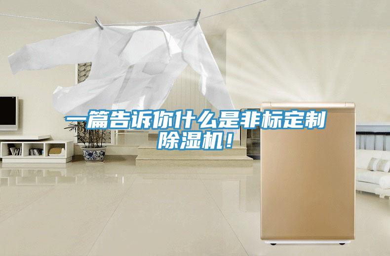 一篇告訴你什么是非標(biāo)定制除濕機(jī)！