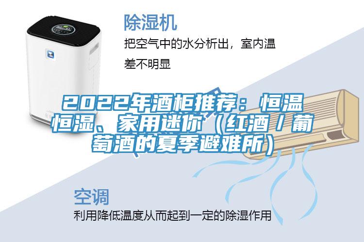 2022年酒柜推薦：恒溫恒濕、家用迷你（紅酒／葡萄酒的夏季避難所）