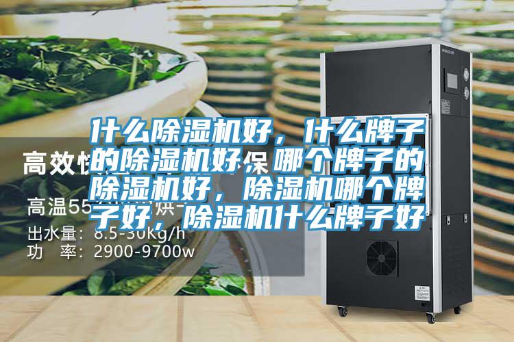 什么除濕機(jī)好，什么牌子的除濕機(jī)好，哪個(gè)牌子的除濕機(jī)好，除濕機(jī)哪個(gè)牌子好，除濕機(jī)什么牌子好