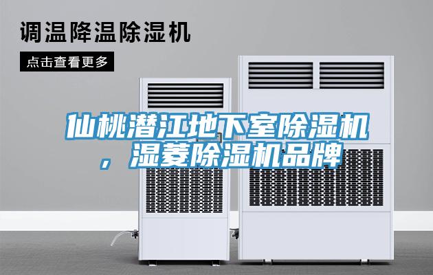 仙桃潛江地下室除濕機，濕菱除濕機品牌