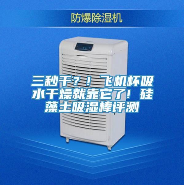 三秒干？! 飛機杯吸水干燥就靠它了! 硅藻土吸濕棒評測