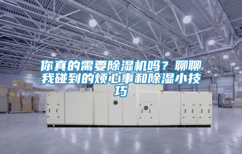 你真的需要除濕機(jī)嗎？聊聊我碰到的煩心事和除濕小技巧