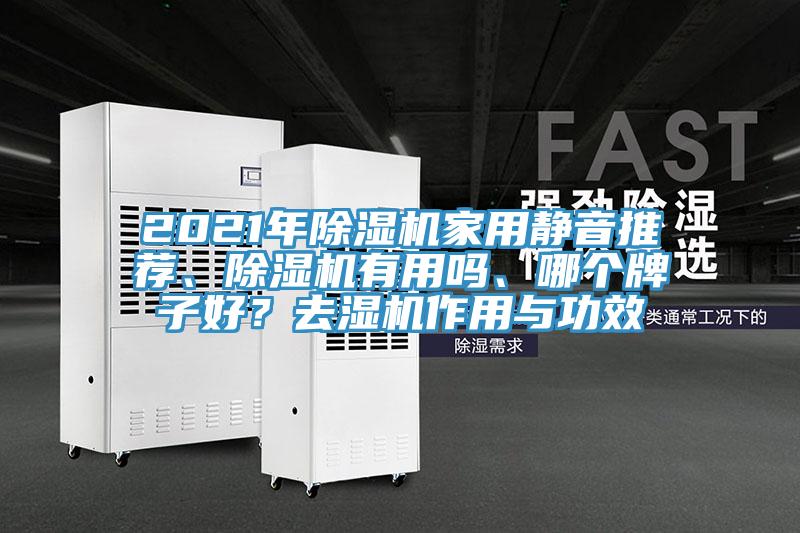 2021年除濕機家用靜音推薦、除濕機有用嗎、哪個牌子好？去濕機作用與功效