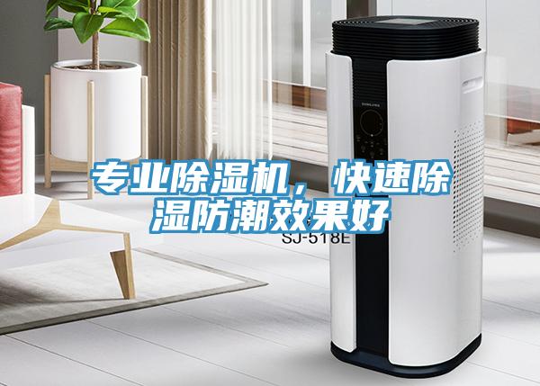 專業(yè)除濕機(jī)，快速除濕防潮效果好