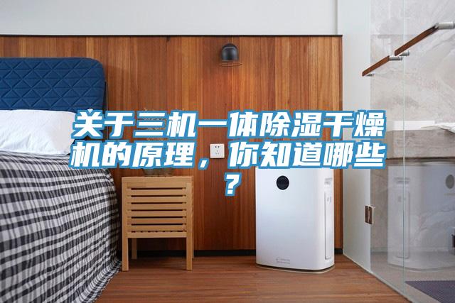 關(guān)于三機一體除濕干燥機的原理，你知道哪些？