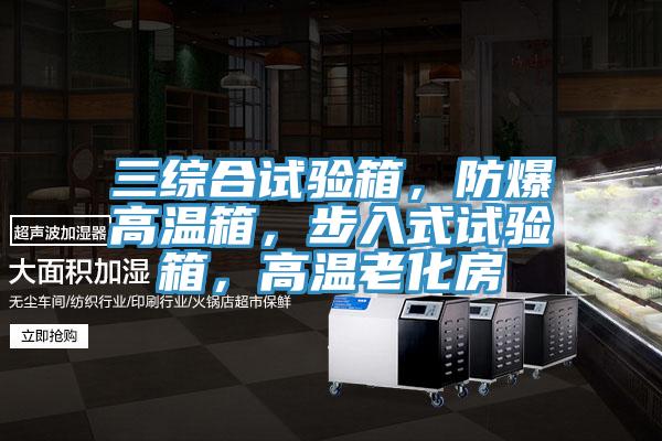 三綜合試驗箱，防爆高溫箱，步入式試驗箱，高溫老化房