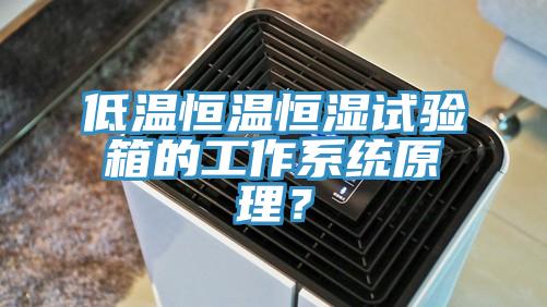 低溫恒溫恒濕試驗(yàn)箱的工作系統(tǒng)原理？