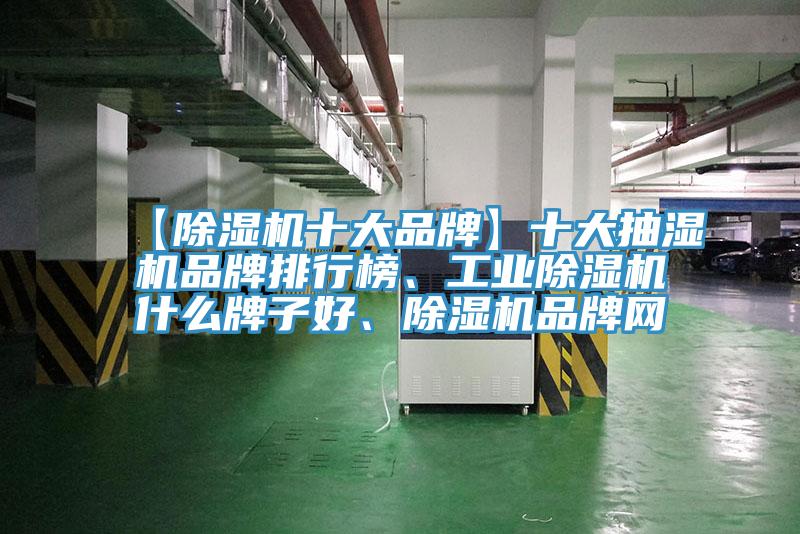 【除濕機(jī)十大品牌】十大抽濕機(jī)品牌排行榜、工業(yè)除濕機(jī)什么牌子好、除濕機(jī)品牌網(wǎng)