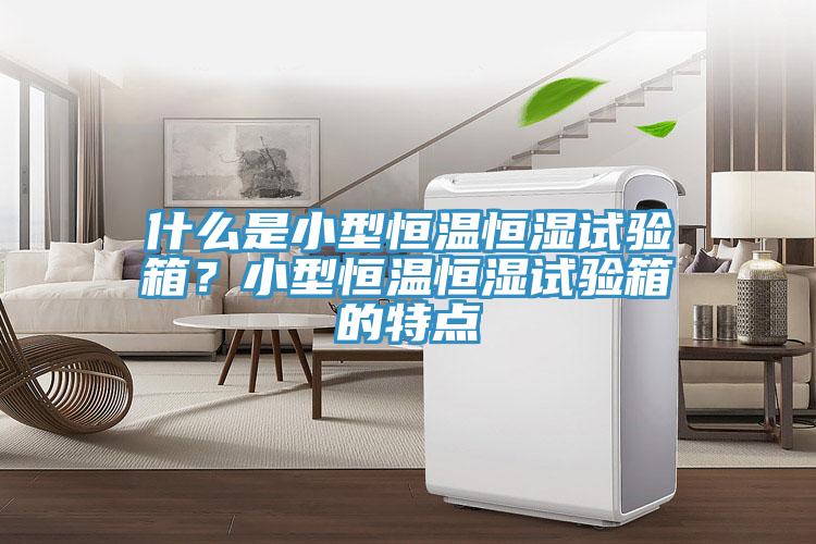 什么是小型恒溫恒濕試驗(yàn)箱？小型恒溫恒濕試驗(yàn)箱的特點(diǎn)