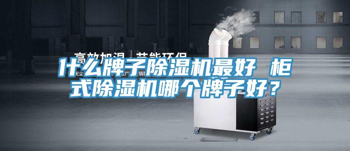 什么牌子除濕機(jī)最好 柜式除濕機(jī)哪個(gè)牌子好？