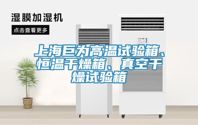 上海巨為高溫試驗(yàn)箱、恒溫干燥箱、真空干燥試驗(yàn)箱