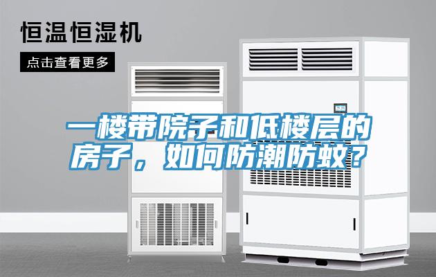 一樓帶院子和低樓層的房子，如何防潮防蚊？