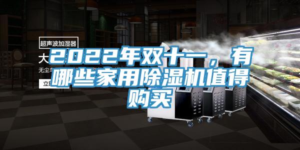 2022年雙十一，有哪些家用除濕機值得購買