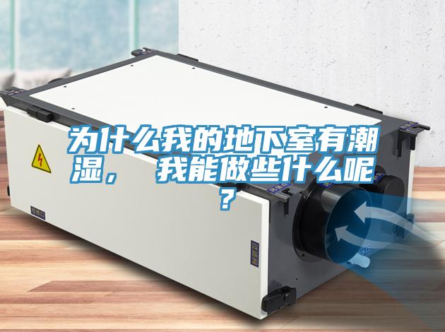 為什么我的地下室有潮濕， 我能做些什么呢？