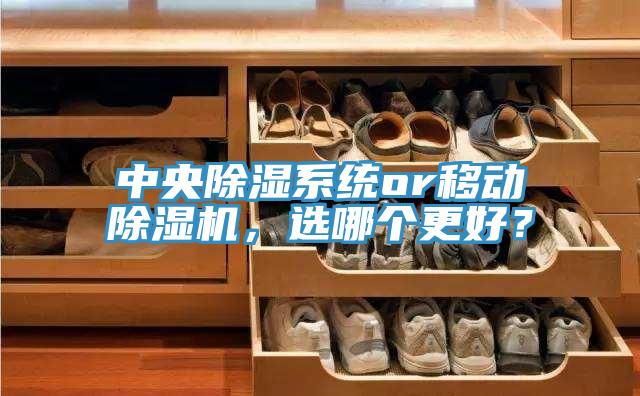 中央除濕系統(tǒng)or移動除濕機，選哪個更好？