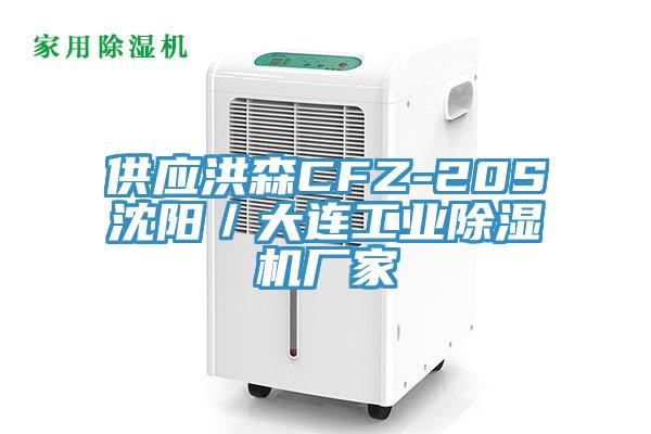供應(yīng)洪森CFZ-20S沈陽(yáng)／大連工業(yè)除濕機(jī)廠(chǎng)家