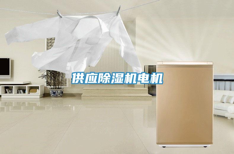 供應(yīng)除濕機電機