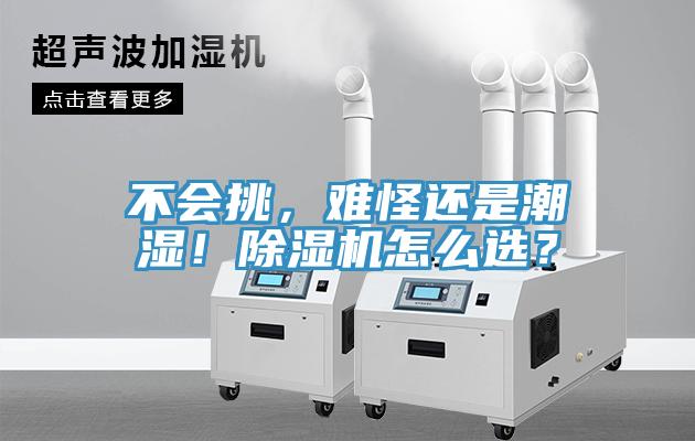不會挑，難怪還是潮濕！除濕機怎么選？