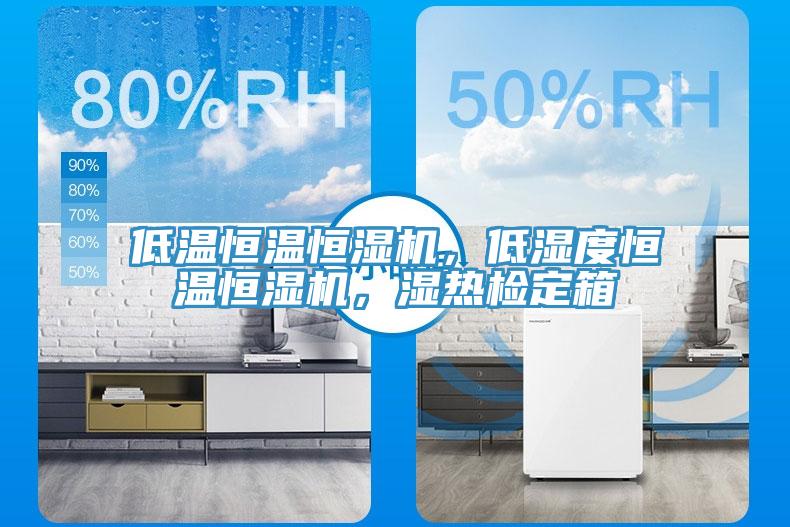 低溫恒溫恒濕機，低濕度恒溫恒濕機，濕熱檢定箱
