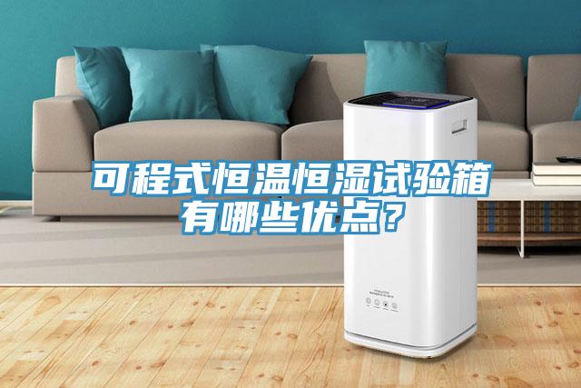 可程式恒溫恒濕試驗箱有哪些優(yōu)點？