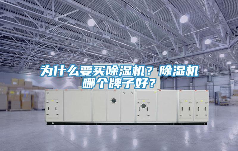 為什么要買除濕機(jī)？除濕機(jī)哪個牌子好？