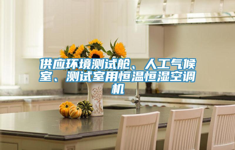 供應(yīng)環(huán)境測試艙、人工氣候室、測試室用恒溫恒濕空調(diào)機