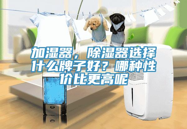 加濕器，除濕器選擇什么牌子好？哪種性價(jià)比更高呢