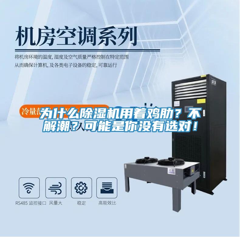 為什么除濕機(jī)用著雞肋？不解潮？可能是你沒有選對！