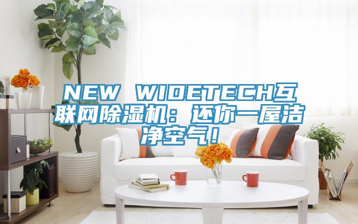 NEW WIDETECH互聯(lián)網(wǎng)除濕機(jī)：還你一屋潔凈空氣！