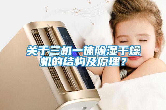 關(guān)于三機一體除濕干燥機的結(jié)構(gòu)及原理？