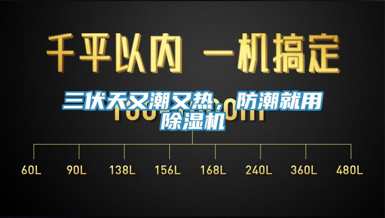 三伏天又潮又熱，防潮就用除濕機(jī)