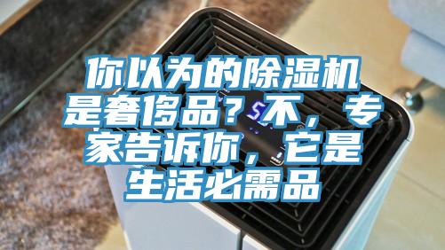 你以為的除濕機是奢侈品？不，專家告訴你，它是生活必需品