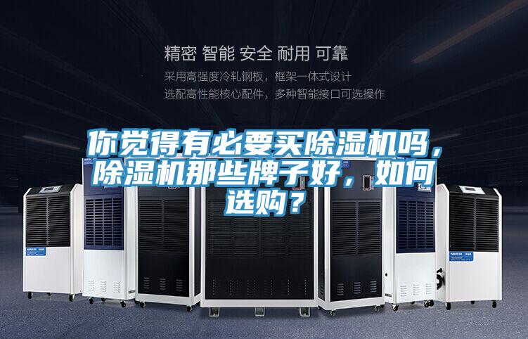 你覺得有必要買除濕機嗎，除濕機那些牌子好，如何選購？