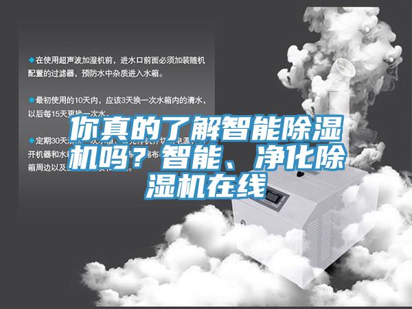 你真的了解智能除濕機嗎？智能、凈化除濕機在線