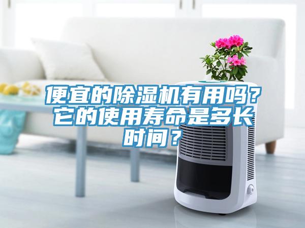 便宜的除濕機(jī)有用嗎？它的使用壽命是多長(zhǎng)時(shí)間？