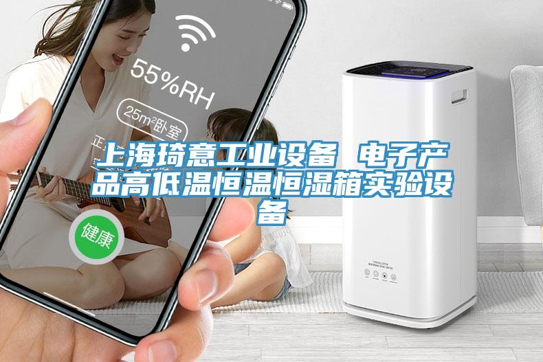 上海琦意工業(yè)設備 電子產品高低溫恒溫恒濕箱實驗設備