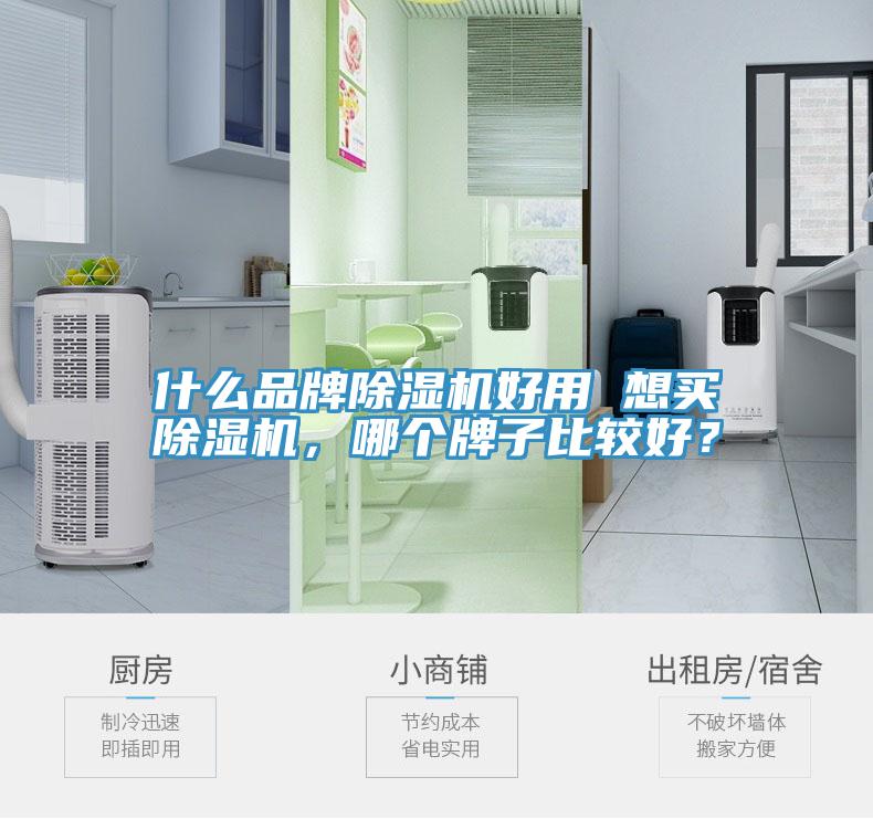 什么品牌除濕機(jī)好用 想買除濕機(jī)，哪個牌子比較好？