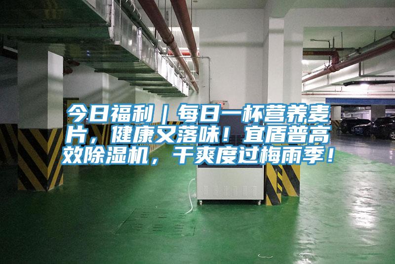 今日福利｜每日一杯營養(yǎng)麥片，健康又落味！宜盾普高效除濕機(jī)，干爽度過梅雨季！