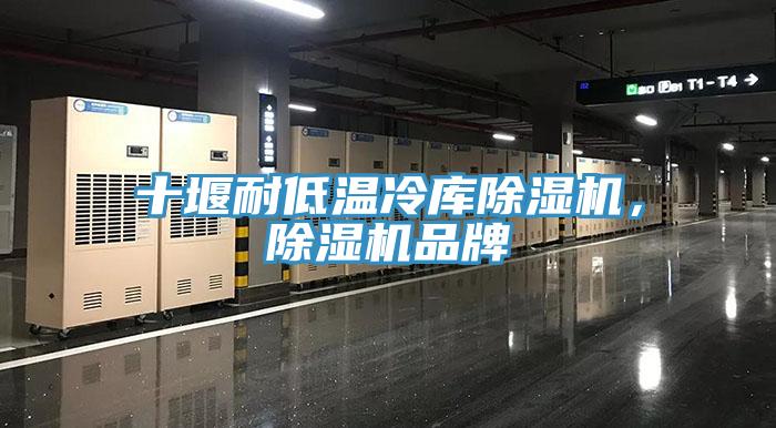十堰耐低溫冷庫除濕機(jī)，除濕機(jī)品牌
