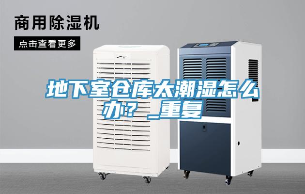 地下室倉(cāng)庫(kù)太潮濕怎么辦？_重復(fù)