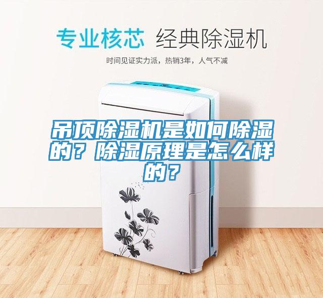 吊頂除濕機是如何除濕的？除濕原理是怎么樣的？